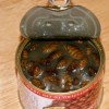 Cockroaches in a can