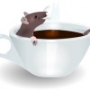 A rat relaxing in a cup of coffee