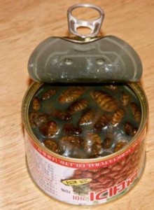 Cockroaches in a can