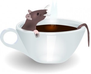 A rat relaxing in a cup of coffee